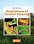 Amphibians of Central America