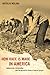 How Race Is Made in America: Immigration, Citizenship, and the Historical Power of Racial Scripts (American Crossroads Book 38)
