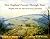 New England Forests Through Time  by David R. Foster
