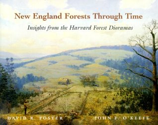New England Forests Through Time : Insights from the Harvard Forest Dioramas (Paperback)