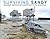 Surviving Sandy: Long Beach Island and the Greatest Storm of the Jersey Shore
