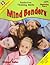 Mind Benders Book 2 (Grades 1-2)