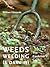 Weeds, Weeding (& Darwin) by William Edmonds