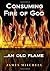 Consuming Fire of God: An O...