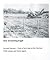 One Screaming Eagle: From a Farm Boy to the German Pow Camps and Home Again