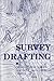 Survey Drafting: Drafting P...