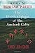 A Guide to Rianar Runes: Th...
