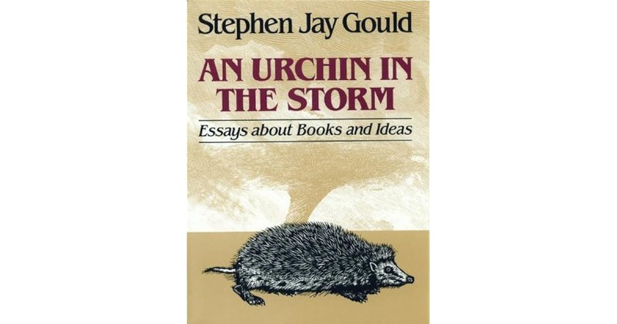 Argumentative essays ideas picture