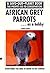 African Grey Parrots