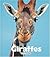 Giraffes by Jenny Markert