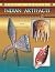 Rare & Unusual Indian Artif...
