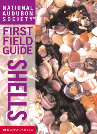National Audubon Society First Field Guide: Shells (Paperback)