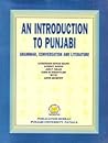 Introduction To Punjabi - Grammar, Conversation And Literature (English and Punjabi Edition)