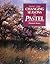 Paint the Changing Seasons in Pastel by Elizabeth Mowry