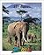 Elephants (Zoobooks)