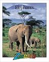 Elephants (Zoobooks) Elephants (Zoobooks)