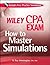Wiley CPA Exam: How to Master Simulations (with CD ROM)  