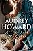 A Time Like No Other by Audrey Howard