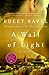 A Wall of Light by Edeet Ravel