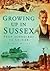 Growing Up in Sussex: From Schoolboy to Soldier