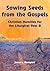 Sowing Seeds from the Gospels:Christian Homilies for the Liturgical Year B