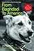 From Baghdad to America: Life Lessons from a Dog Named Lava