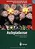 Illustrated Handbook of Succulent Plants: Asclepiadaceae