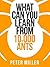 What You Can Learn From 10,000 Ants (Collins Shorts Book 4)