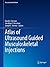 Atlas of Ultrasound Guided Musculoskeletal Injections (Musculoskeletal Medicine)