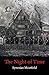 The Night of Time by Synesius Meatfield
