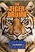 The Tiger Drums (The Cat Trio Book 3)