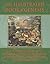 The Illustrated Book of Genesis: The Complete Text with Beautiful Fine Art Paintings, Stained Glass, Illustrations, and Illumination