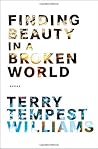 Book cover for Finding Beauty in a Broken World