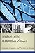 Industrial Megaprojects: Co...