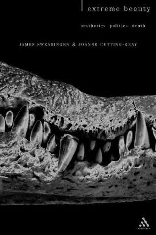 Extreme Beauty: Aesthetics, Politics, Death (Textures: Philosophy, Literature, Culture)