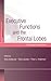 Executive Functions and the Frontal Lobes: A Lifespan Perspective (Studies on Neuropsychology, Neurology and Cognition)