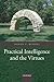 Practical Intelligence and the Virtues