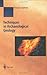 Techniques in Archaeological Geology (Natural Science in Archaeology)