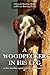 A WOODPECKER IN HIS LEG: Or how families coped with life on a Homestead