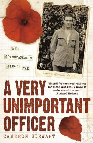 A Very Unimportant Officer: Life and Death on the Somme and at Passchendaele