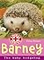 Barney: The Baby Hedgehog (...