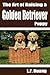 The Art of Raising a Golden Retriever Puppy