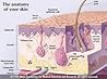 Manual of dermato...