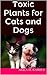 Toxic Plants for Cats and Dogs