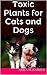 Toxic Plants for Cats and Dogs