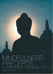 Mindfulness, Precepts and Crashing in the Same Car