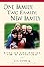 One Family, Two Family, New Family: Stories And Advice For Stepfamilies