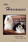 the Havanese
