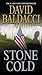 Stone Cold (Camel Club, #3)