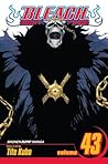 Bleach, Volume 43 by Tite Kubo